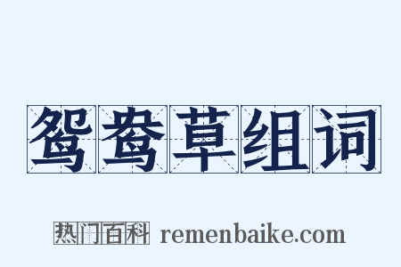 鸳鸯草组词是什么意思的图片